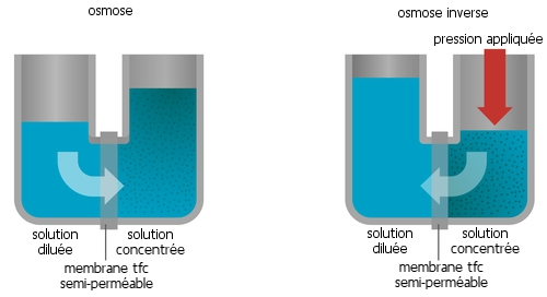 Comment fonctionne une membrane d'osmoseur ?
